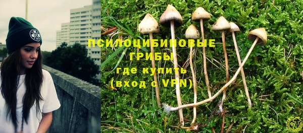 гидра Алзамай