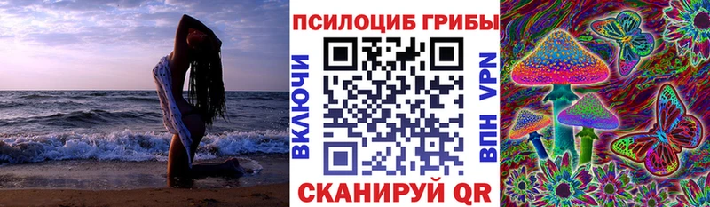 Псилоцибиновые грибы мухоморы  даркнет официальный сайт  Среднеколымск 